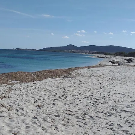 Cozy Holiday Home With Pool In Sardinia